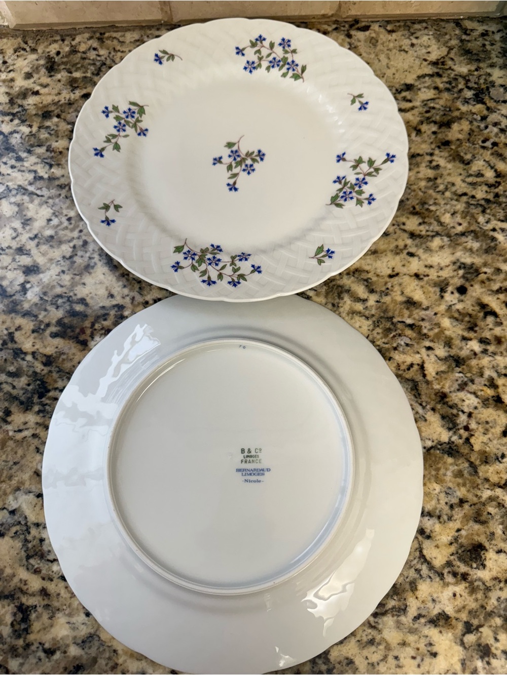 Bernardaud White Porcelain Plate with Blue Floral Sprigs